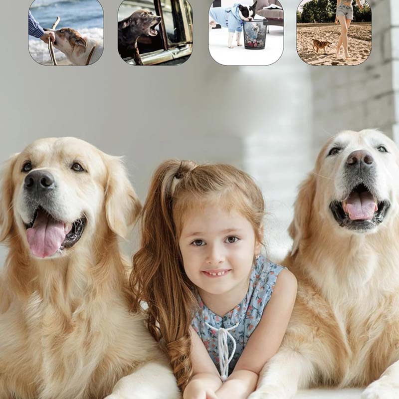PawControl™ Anti-Blaf & Trainingsapparaat