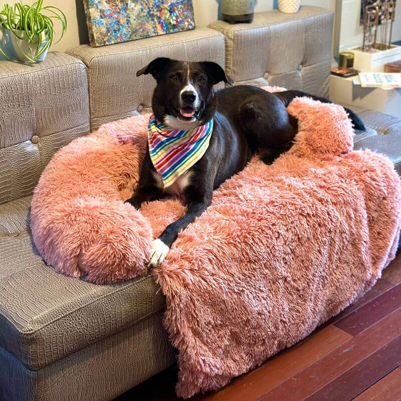 PawGuard Sofa Protector – Bescherm je bank, geniet van je viervoeter