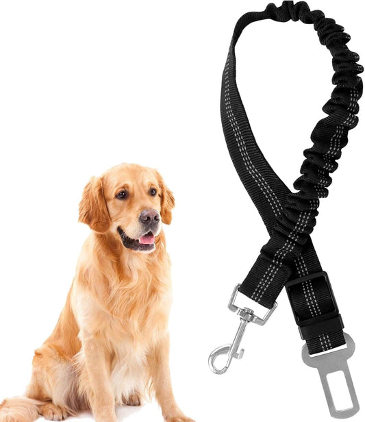 Auto Veiligheidsriem voor Honden