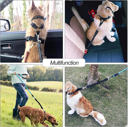 Auto Veiligheidsriem voor Honden