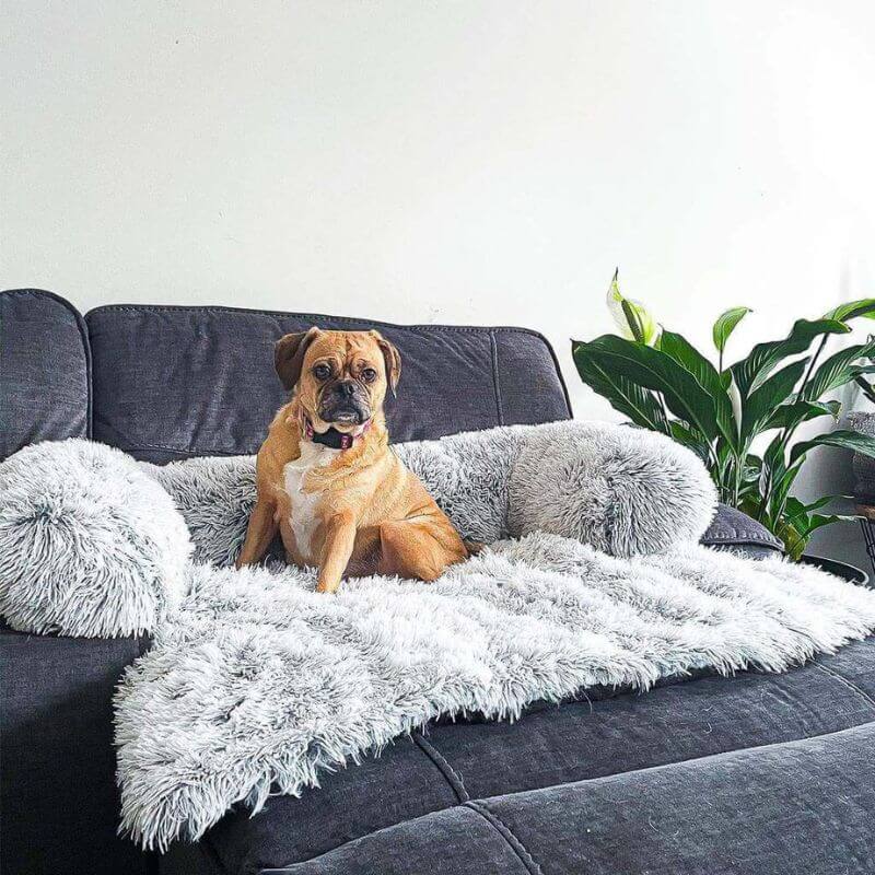 PawGuard Sofa Protector – Bescherm je bank, geniet van je viervoeter