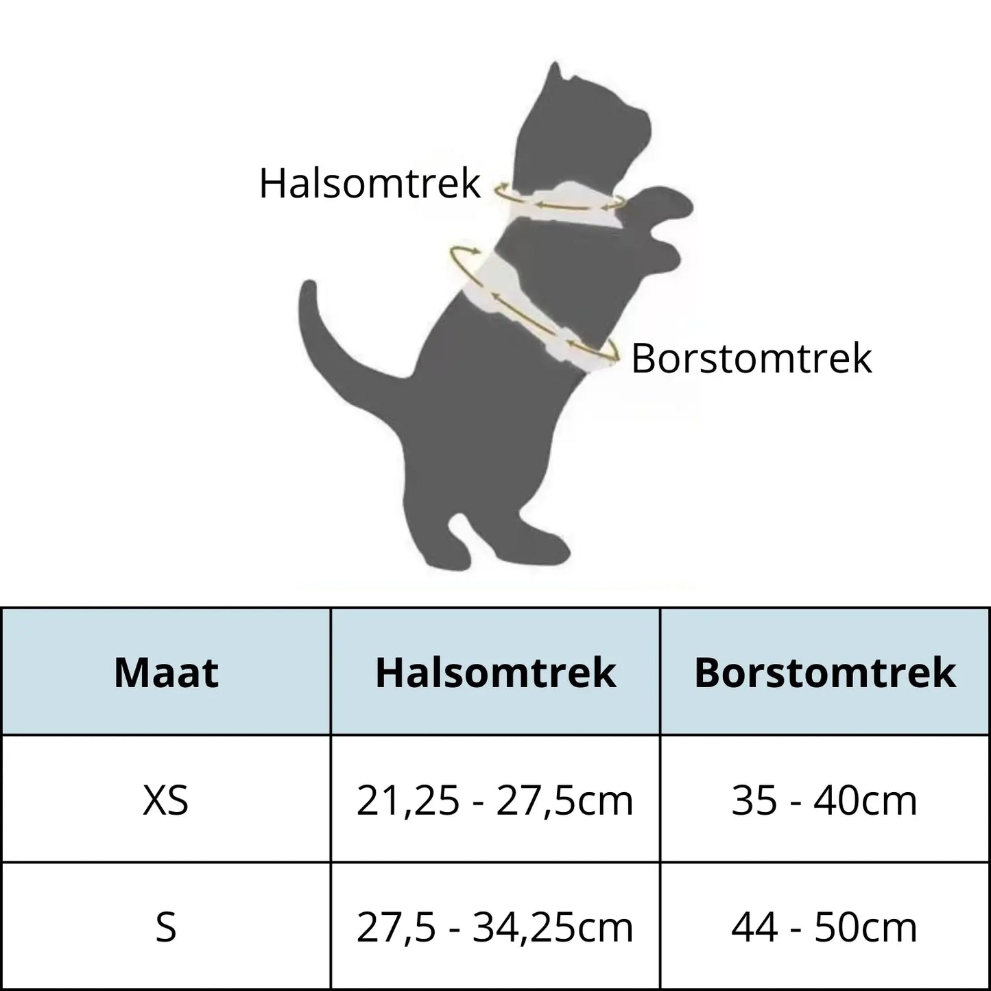 CatVenturer Kattenharnas & Lijn set