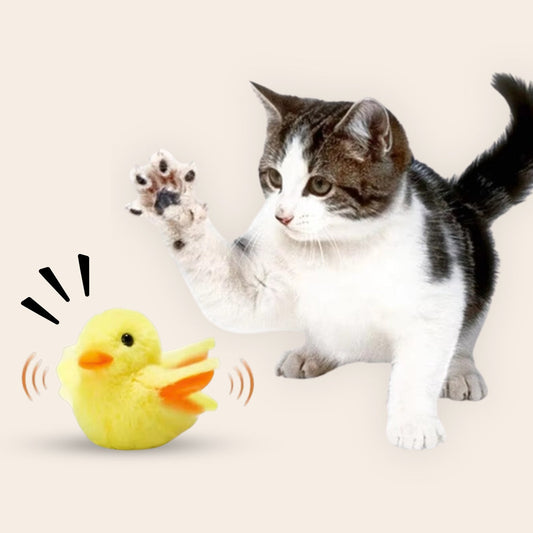 FelineFly Realistische Simulatie Vogel voor Katten - Eend