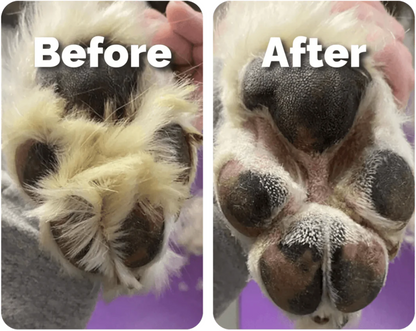 PawTrim Pro LED Trimmer – Veilig & Vluchtig voor de Perfecte Pootverzorging