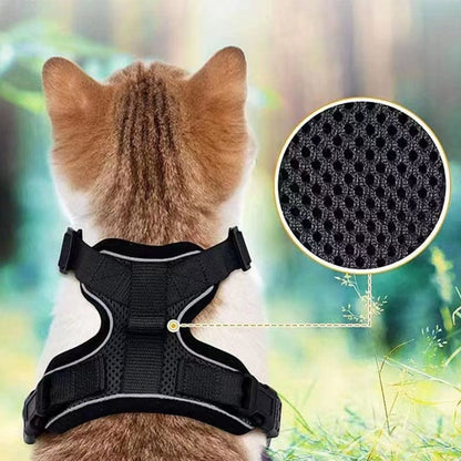 CatVenturer Kattenharnas & Lijn set