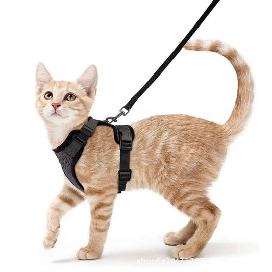 CatVenturer Kattenharnas & Lijn set