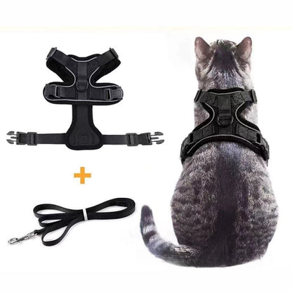CatVenturer Kattenharnas & Lijn set