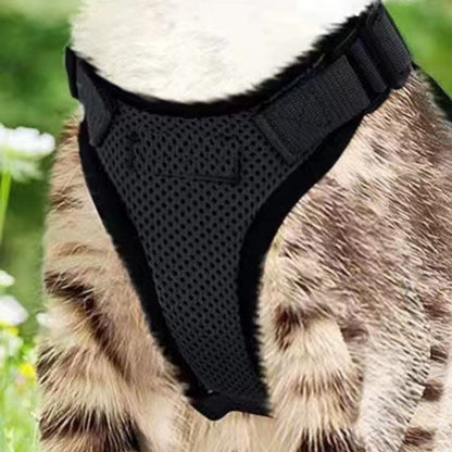 CatVenturer Kattenharnas & Lijn set