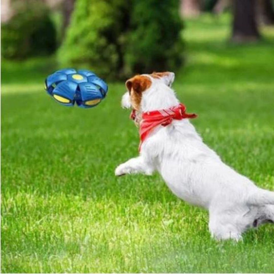 FetchFlex™ DiscBall – De Bal Die Alles Kan!