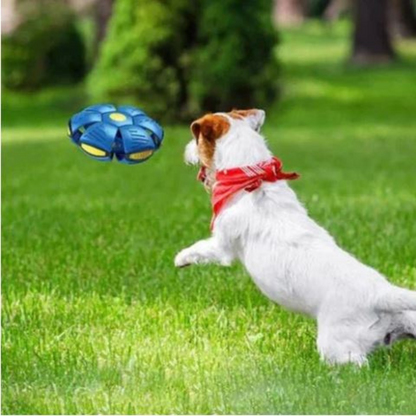 FetchFlex™ DiscBall – De Bal Die Alles Kan!