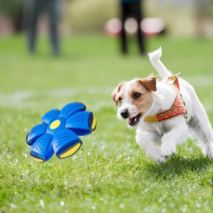 FetchFlex™ DiscBall – De Bal Die Alles Kan!