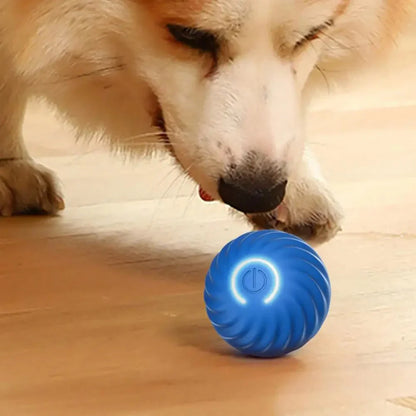 RolliPlay Ball – Eindeloos speelplezier voor jouw hond!