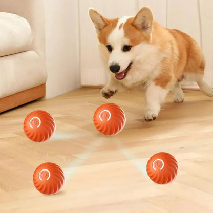 RolliPlay Ball – Eindeloos speelplezier voor jouw hond!