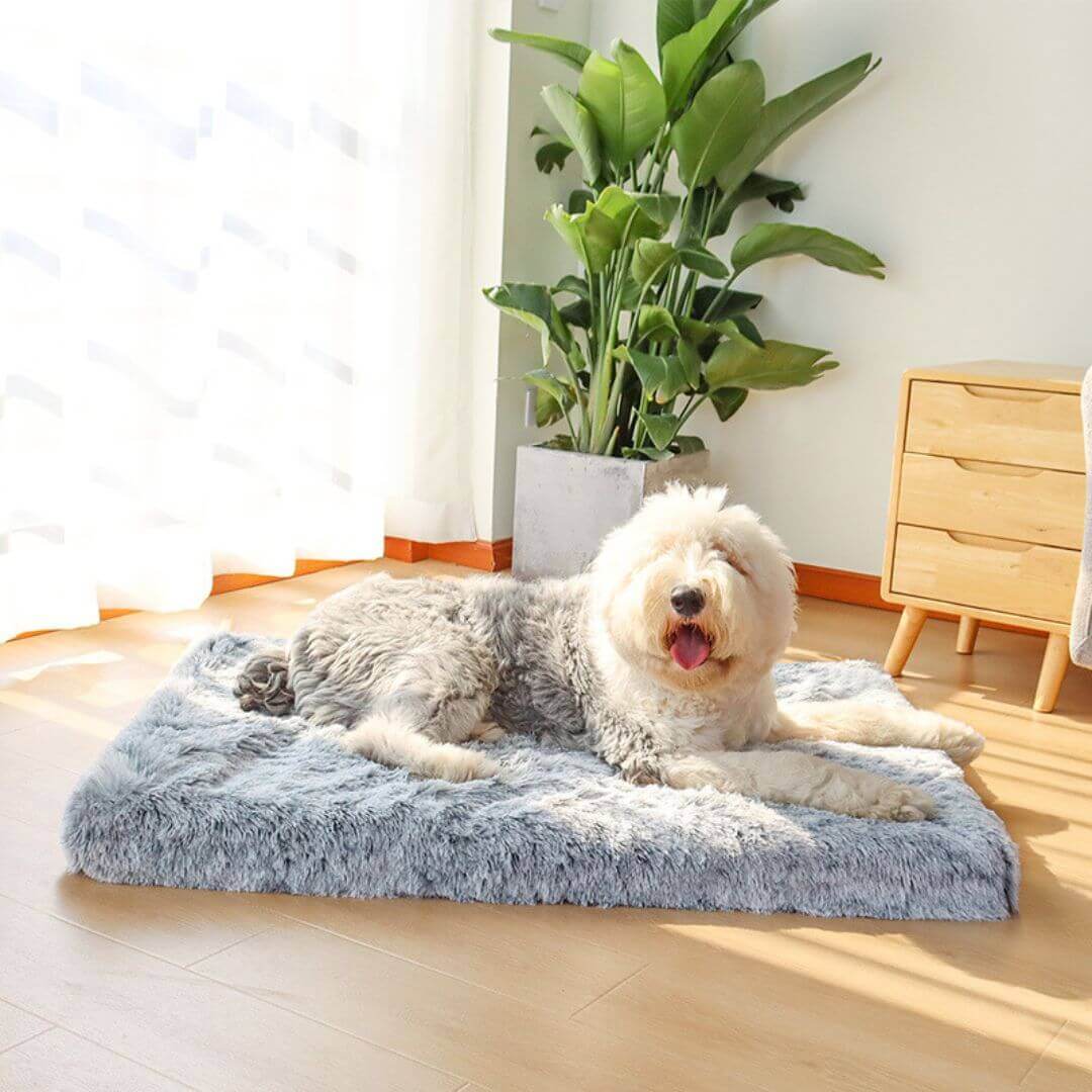 HappyBones Orthobed - Orthopedisch Hondenkussen voor Jouw hond of Kat